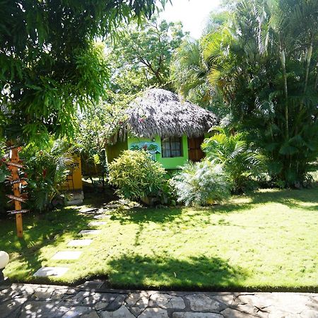 Hotel Mariposa León المظهر الخارجي الصورة