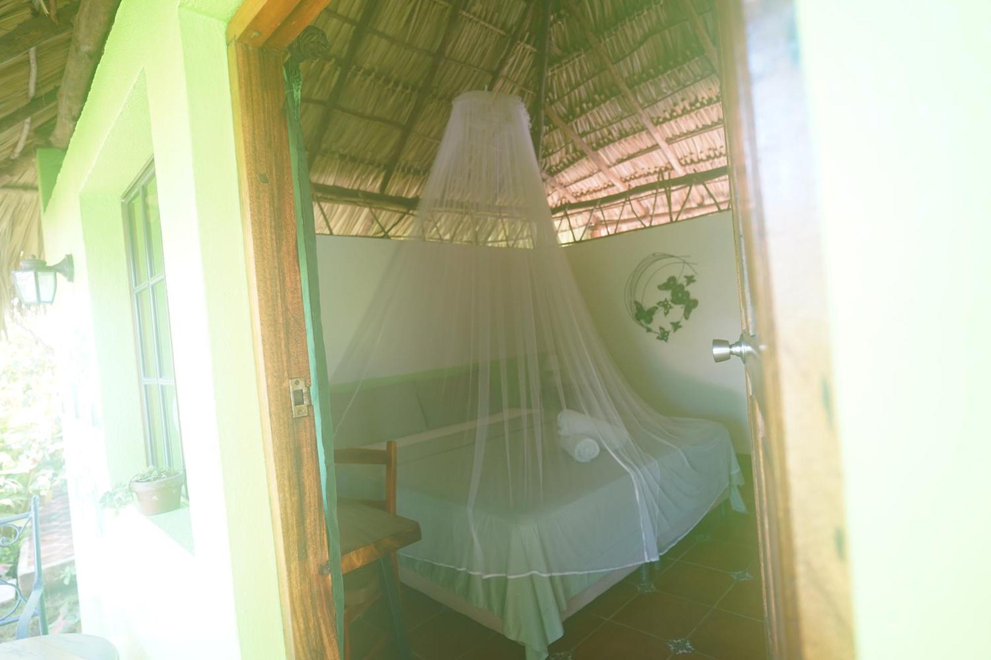 Hotel Mariposa León المظهر الخارجي الصورة