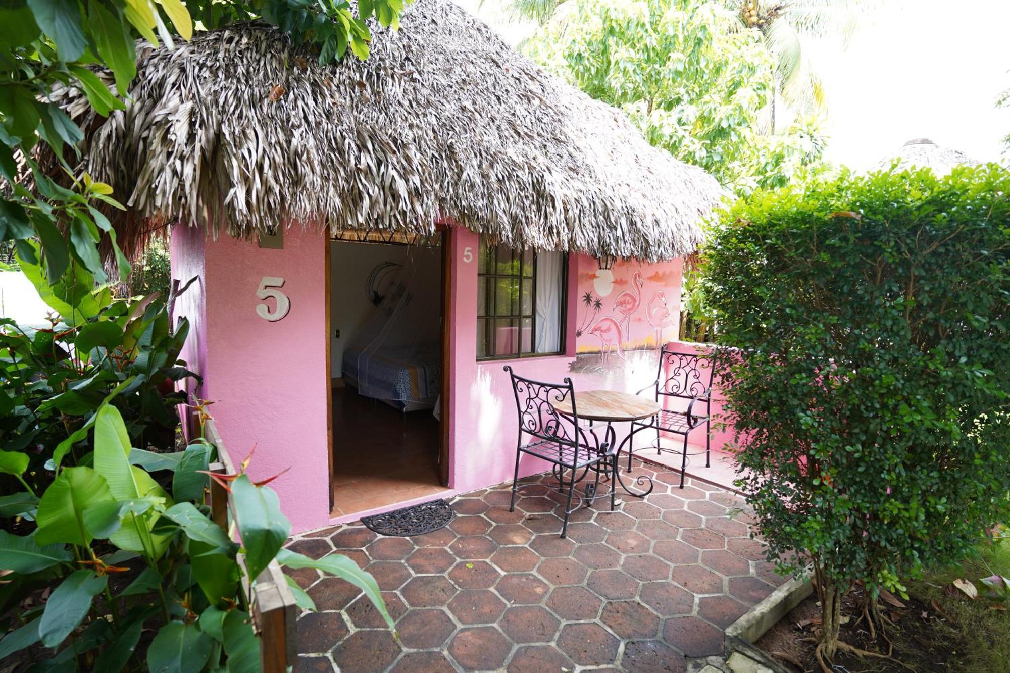 Hotel Mariposa León المظهر الخارجي الصورة