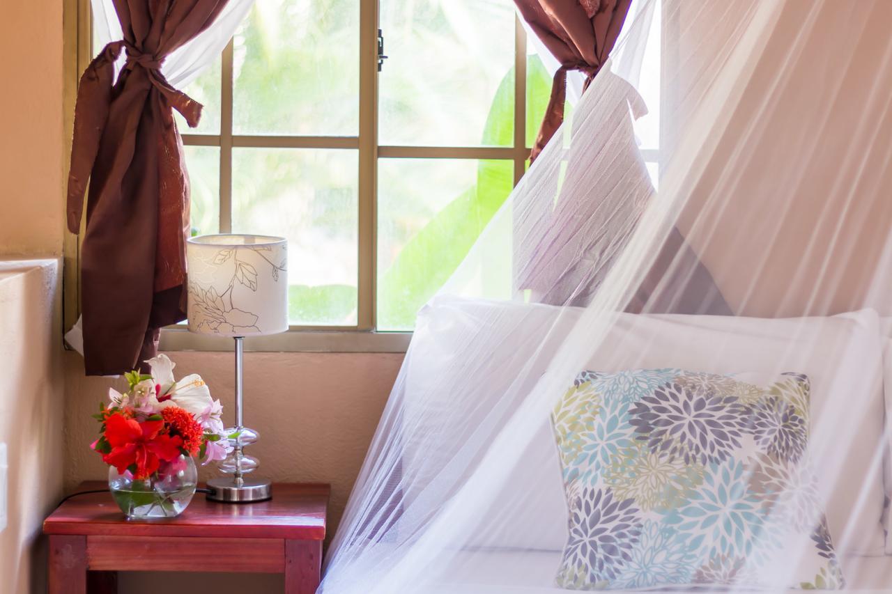 Hotel Mariposa León المظهر الخارجي الصورة