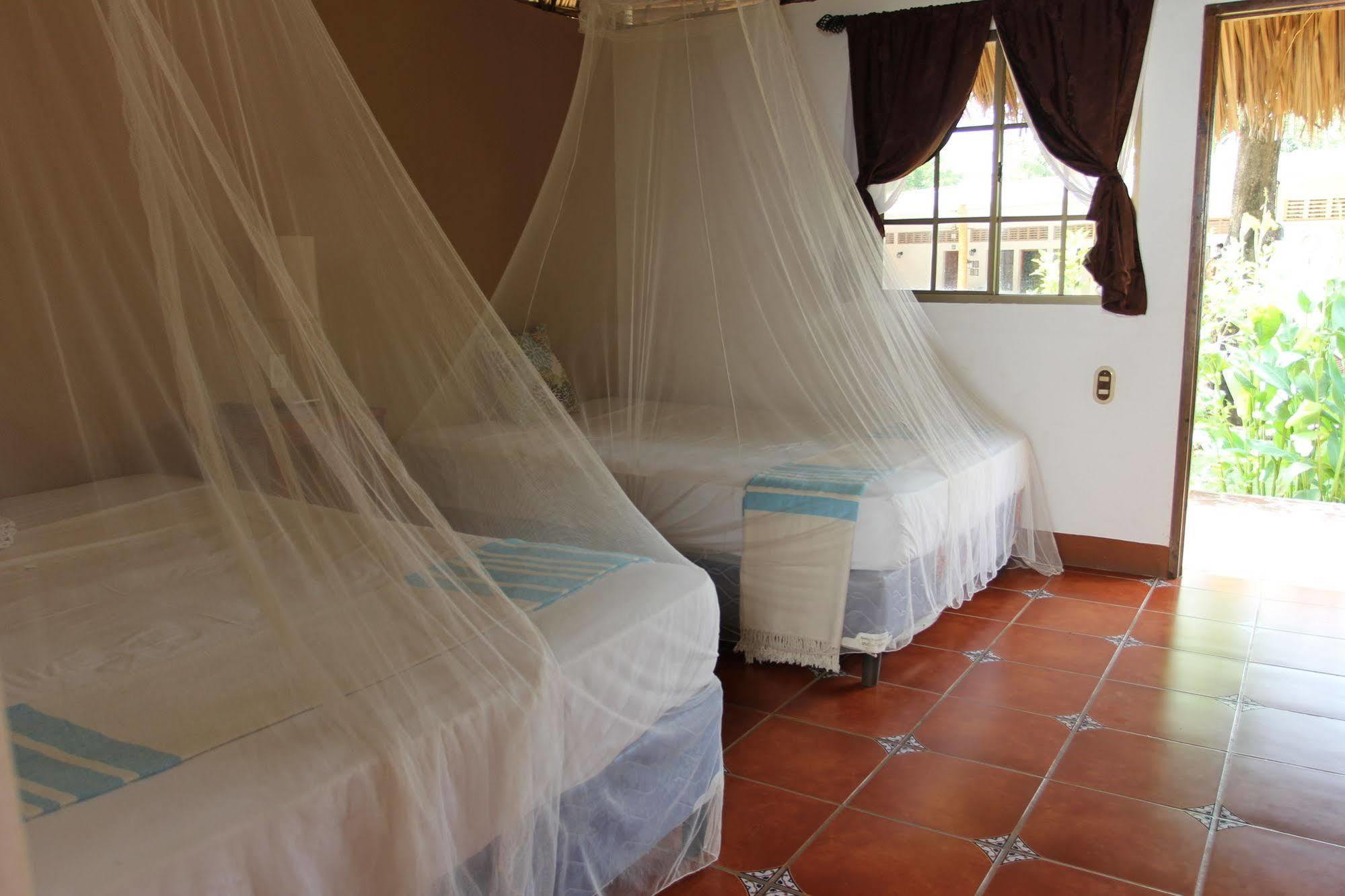Hotel Mariposa León المظهر الخارجي الصورة