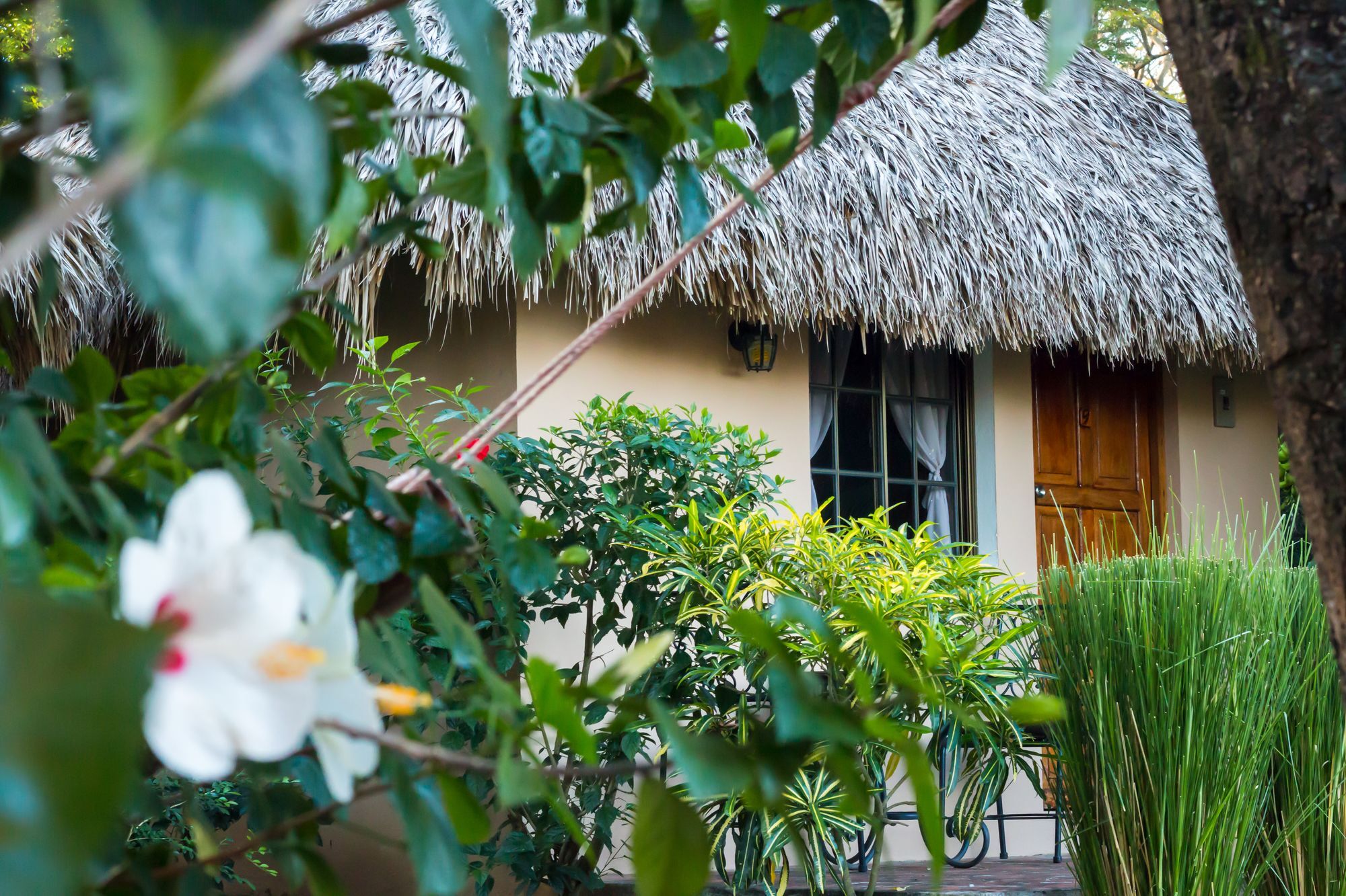 Hotel Mariposa León المظهر الخارجي الصورة